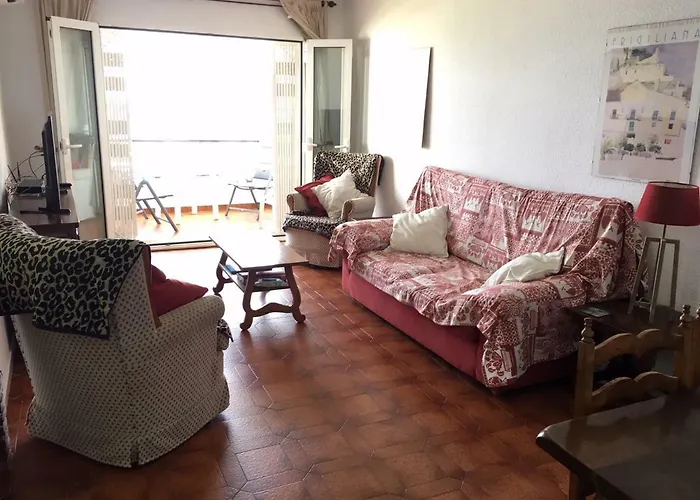 Palmeras 53 Menyber *