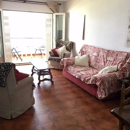 Palmeras 53 Menyber *