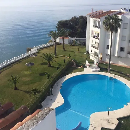 Palmeras 53 Menyber *