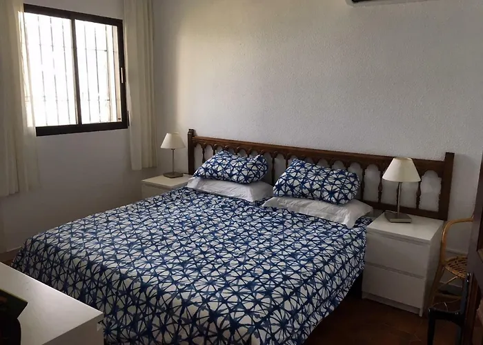 Palmeras 53 Menyber *