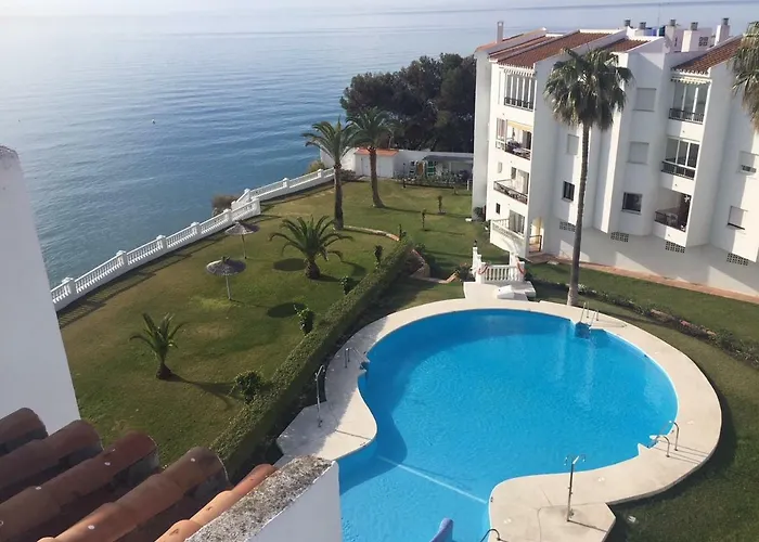 Palmeras 53 Menyber *