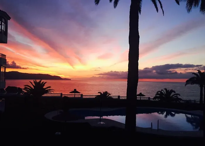 Palmeras 53 Menyber Nerja