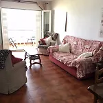 Palmeras 53 Menyber *